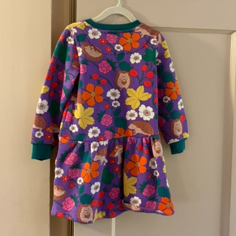 Mini Boden Adorable Hedgehog Sweatshirt Dress
